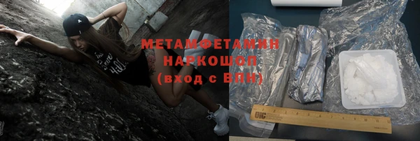 прущие грибы Богородск