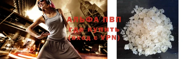 прущие грибы Богородск