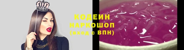 прущие грибы Богородск