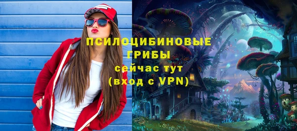 ешки Пролетарск